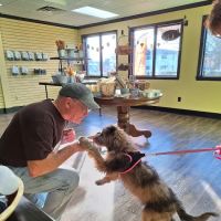 Pet Wants Oxford Oh., Eaton and Richmond ico