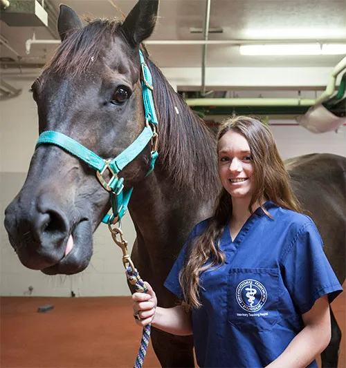 Caesars Entertainment Equine Specialty Hospital Picture 1