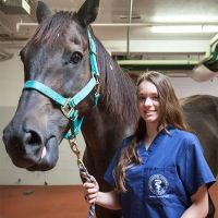 Caesars Entertainment Equine Specialty Hospital ico