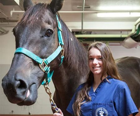 Caesars Entertainment Equine Specialty Hospital