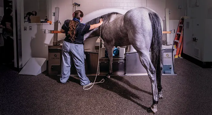 Caesars Entertainment Equine Specialty Hospital Picture 9