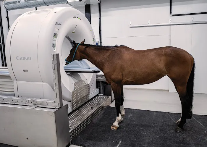 Caesars Entertainment Equine Specialty Hospital Picture 4