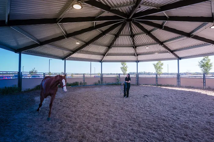 Caesars Entertainment Equine Specialty Hospital Picture 5