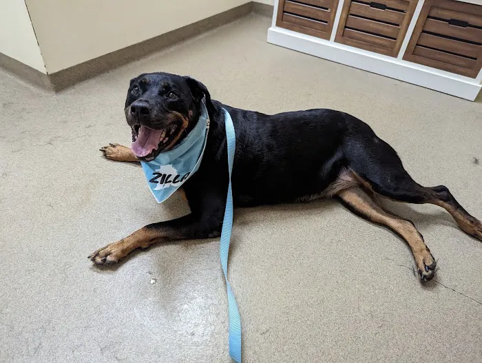 Buck Creek Veterinary Clinic Picture 2