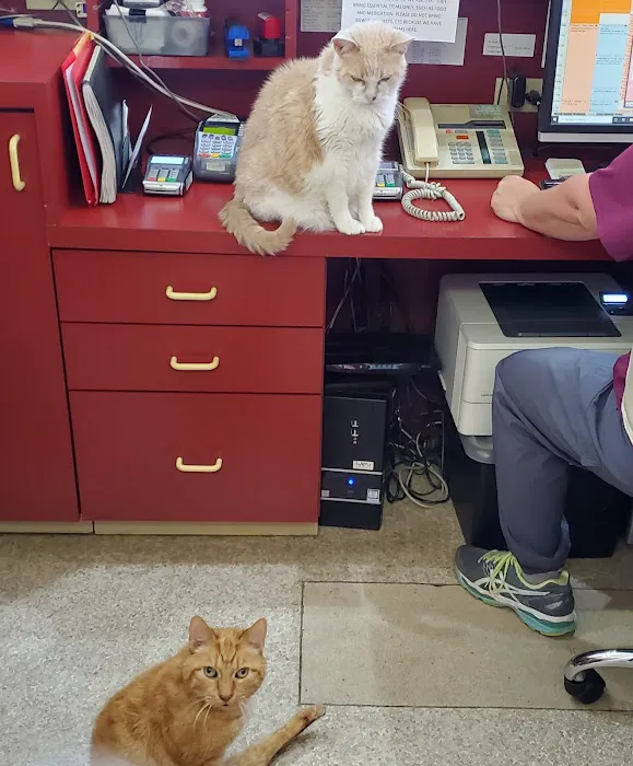 Animal Hospital of Richmond Picture 5