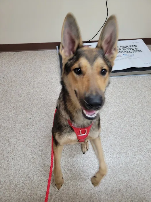 Animal Hospital of Richmond Picture 2