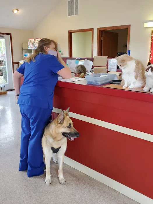 Animal Hospital of Richmond Picture 7