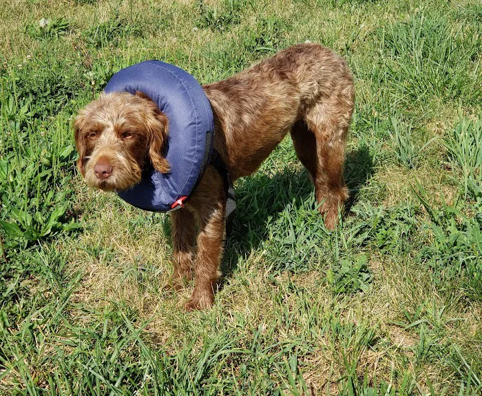 Greens Fork Animal Hospital Picture 2