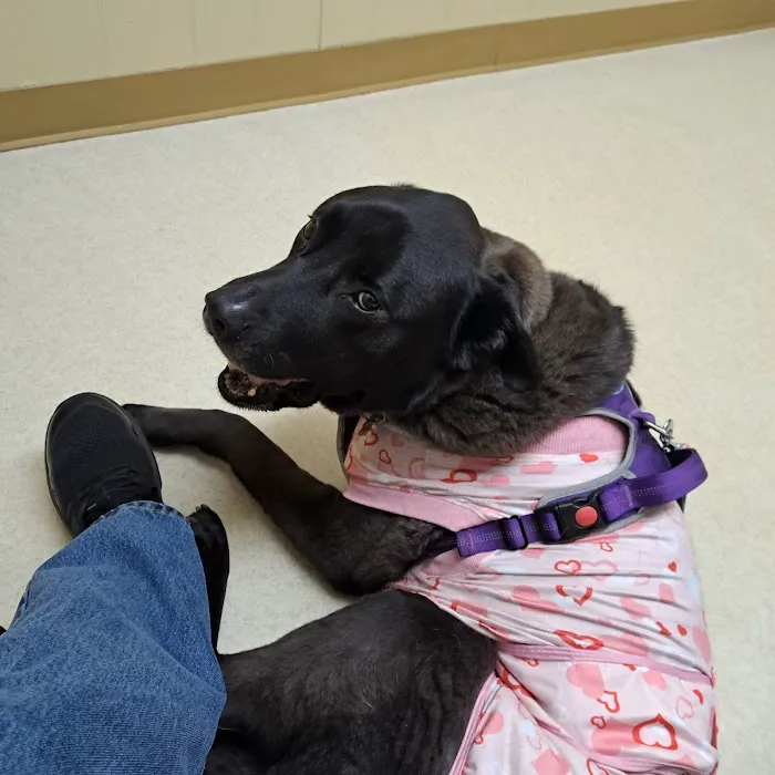 Greens Fork Animal Hospital Picture 4