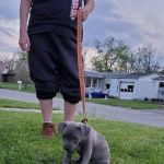Greens Fork Animal Hospital