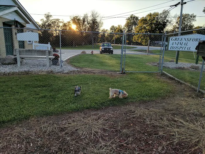 Greens Fork Animal Hospital Picture 6