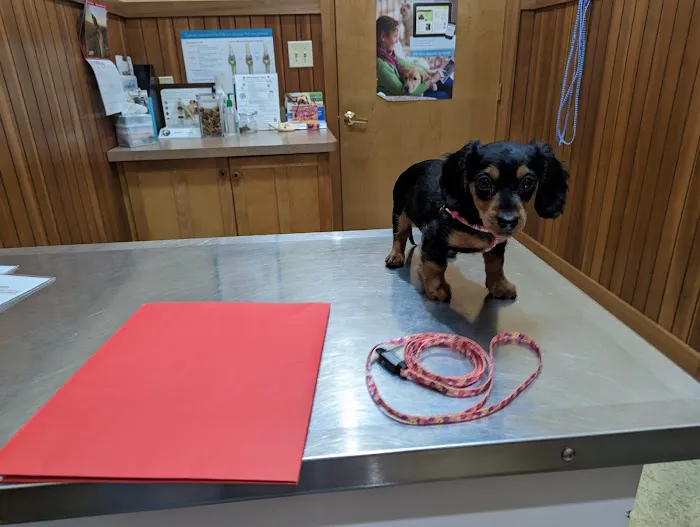 Logue's TLC Pet Hospital, LLC Picture 10