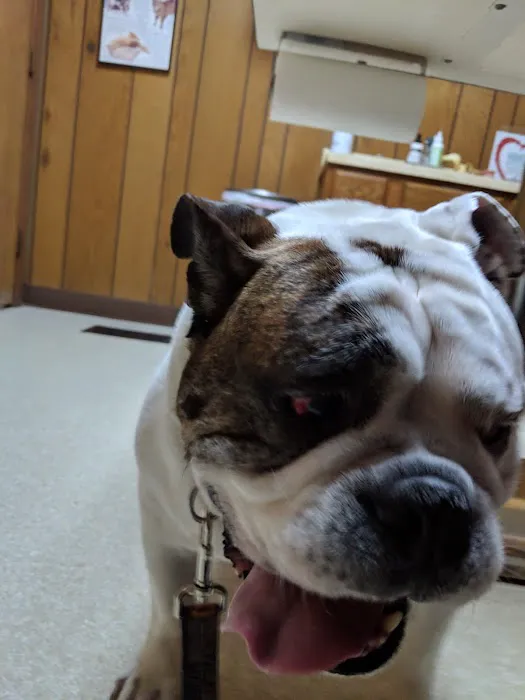 Monfort Heights Animal Clinic Picture 4