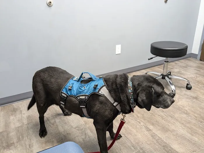 Monfort Heights Animal Clinic Picture 1