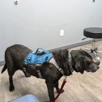 Monfort Heights Animal Clinic
