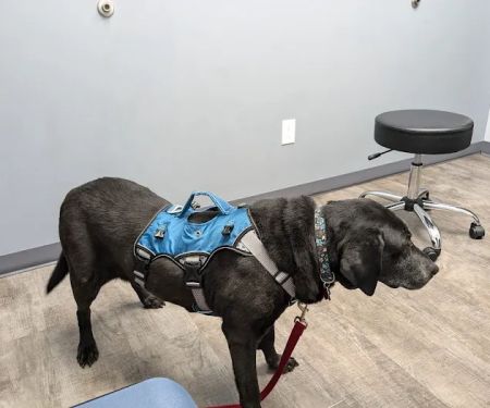 Monfort Heights Animal Clinic