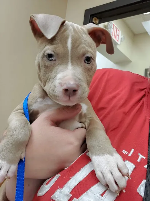 Covedale Pet Hospital Picture 4