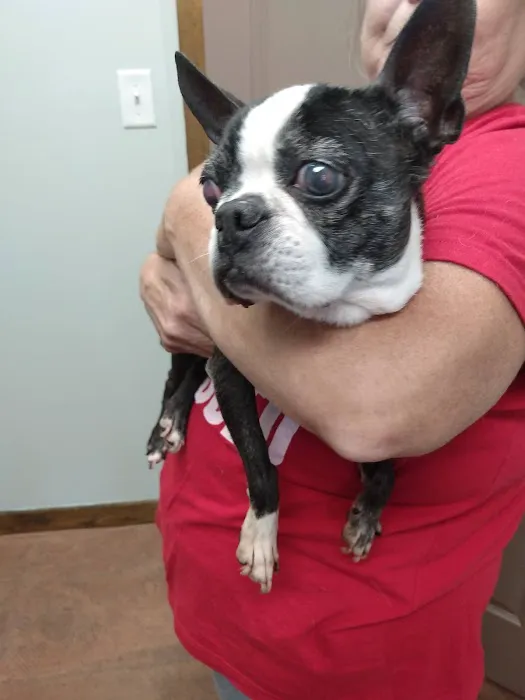 Plantation Veterinary Clinic Picture 6