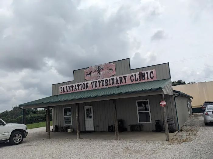 Plantation Veterinary Clinic Picture 10
