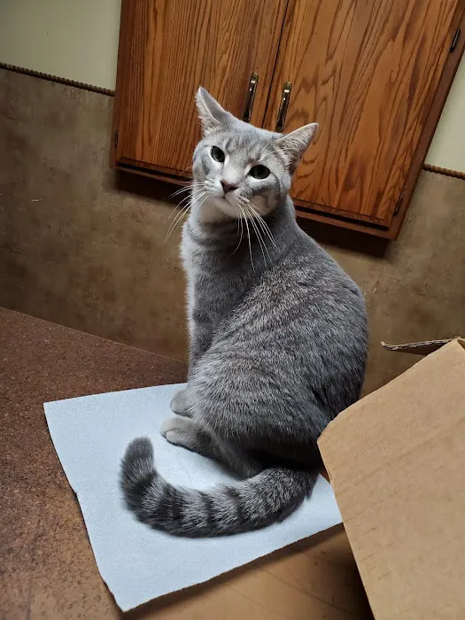 Hilltop Veterinary Services Office Picture 5