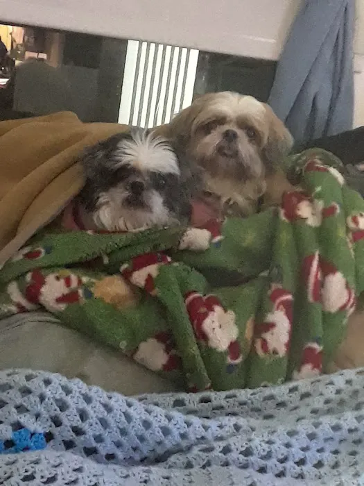 East Side Animal Hospital Picture 4
