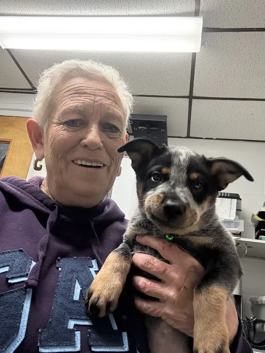 East Side Animal Hospital Picture 5