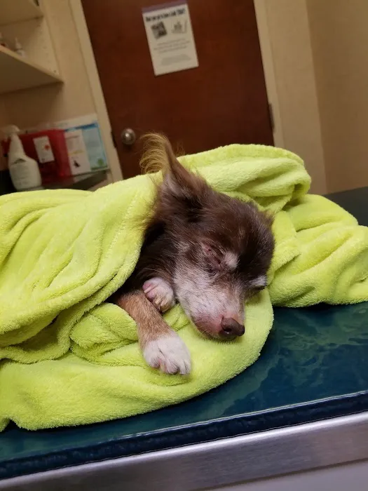 Kentuckiana Animal Clinic Picture 5