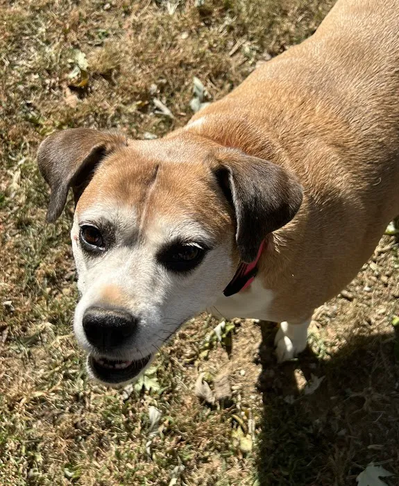 Kentuckiana Animal Clinic Picture 10