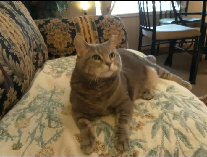 Kentuckiana Animal Clinic Picture 8