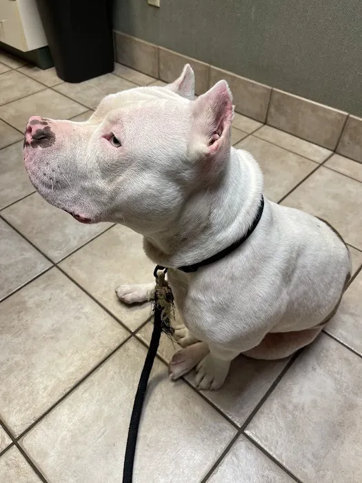 Kentuckiana Animal Clinic Picture 4
