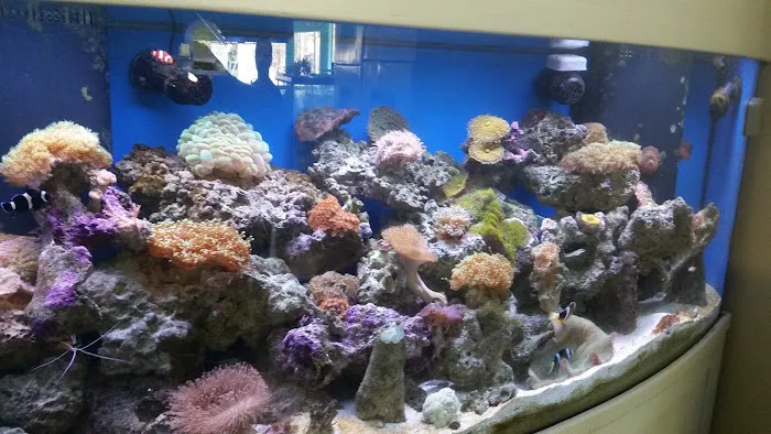 My Fish Doctor Picture 8