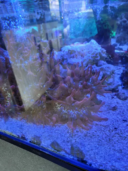 My Fish Doctor Picture 9