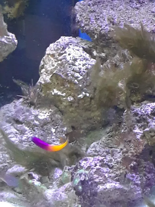My Fish Doctor Picture 4