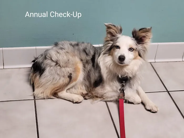 Wills Animal Hospital Picture 8