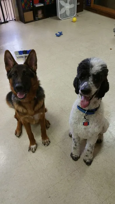 Owensboro Animal Hospital Picture 2