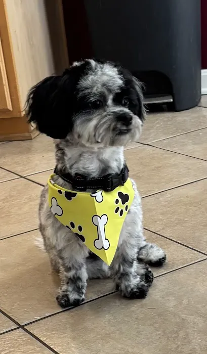 Audubon Animal Hospital Picture 8