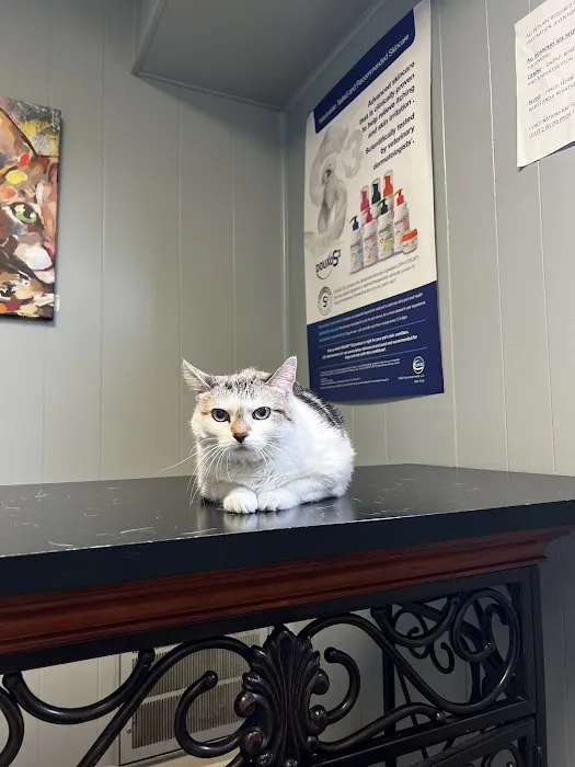 Audubon Animal Hospital Picture 10