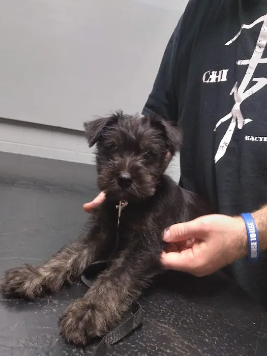 Audubon Animal Hospital Picture 9