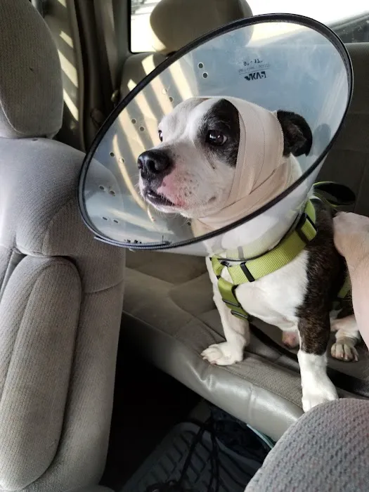Audubon Animal Hospital Picture 2