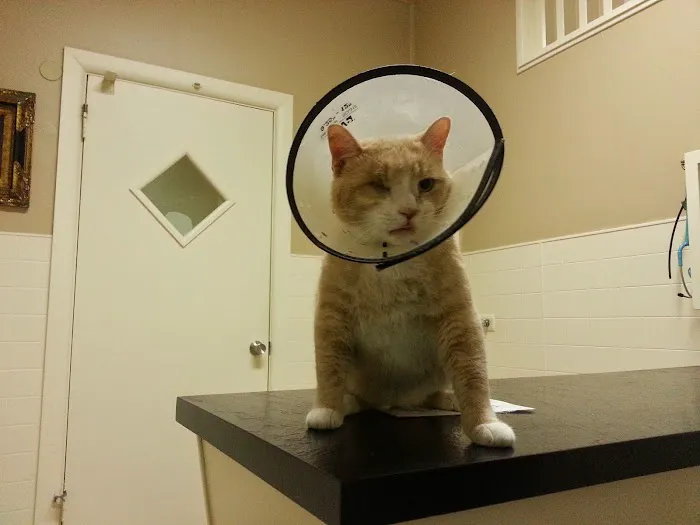 Audubon Animal Hospital Picture 3