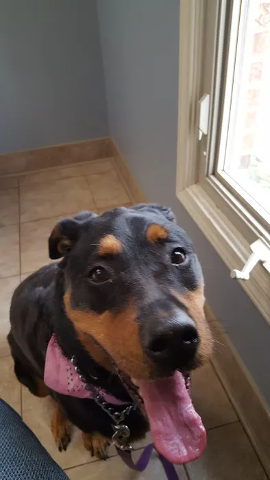 Towne Square Animal Hospital Picture 2