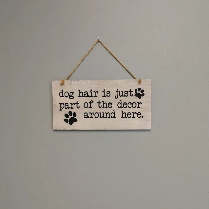 Towne Square Animal Hospital Picture 7