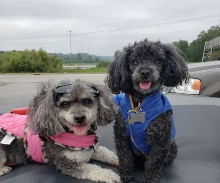 Dubois County Animal Hospital