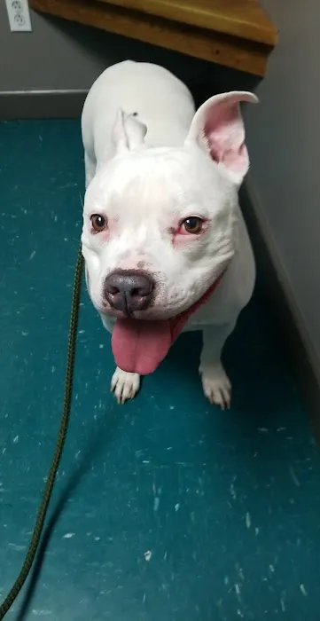 Dubois County Animal Hospital Picture 3