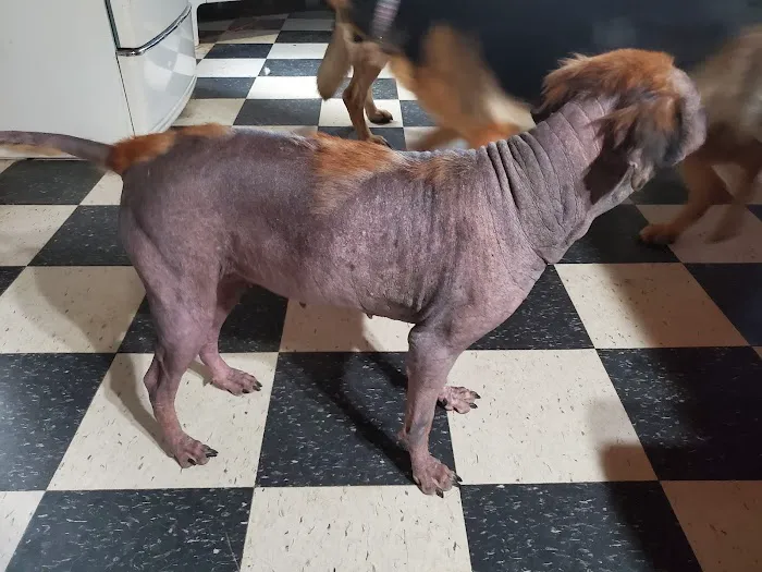 Dubois County Animal Hospital Picture 4
