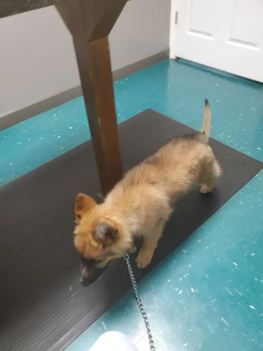 Dubois County Animal Hospital Picture 6