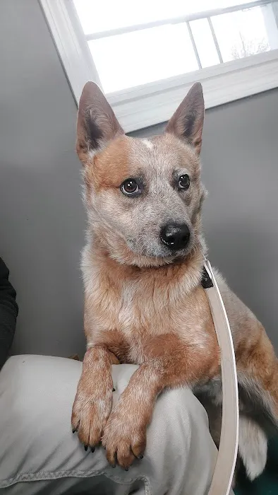 Dubois County Animal Hospital Picture 7