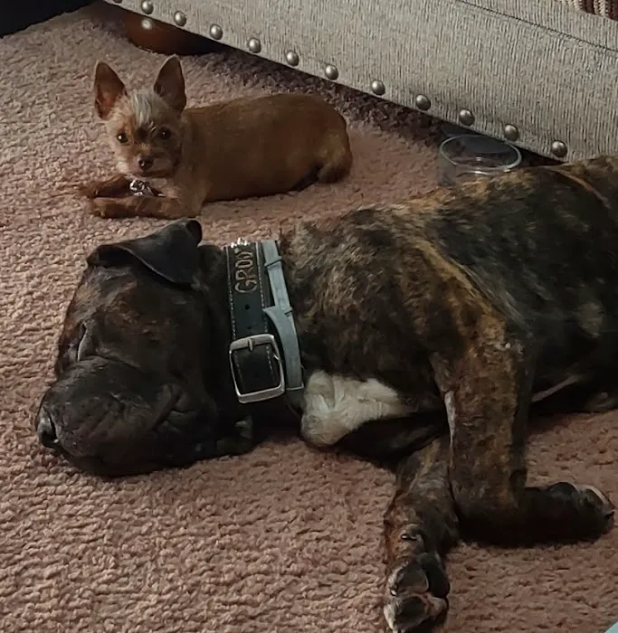 Riverside Animal Clinic Picture 4