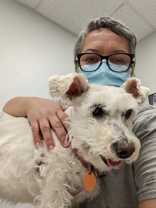 Arlington Heights Veterinary Hospital - South Picture 7