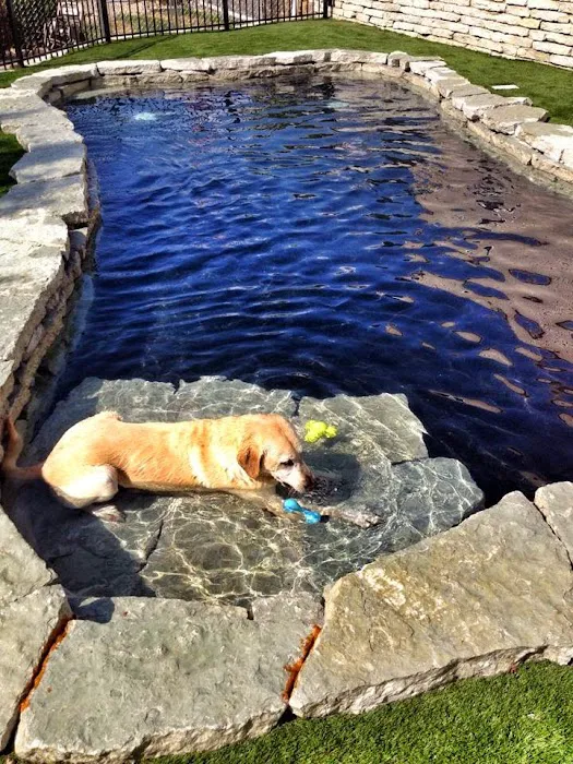 BloomingPaws Clinic Resort & Spa Picture 4